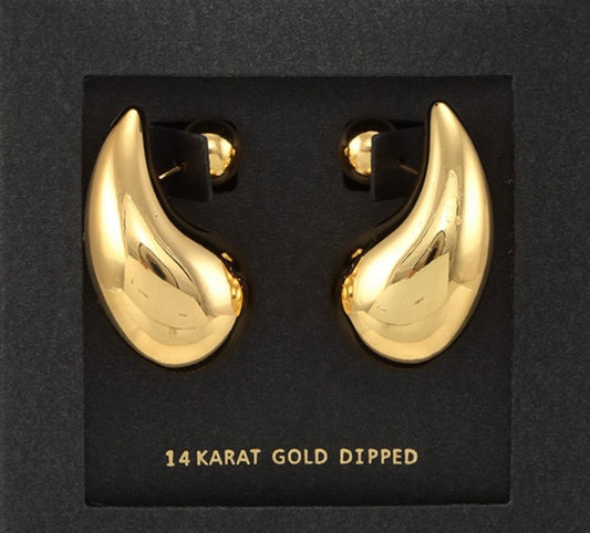 Bottega earings