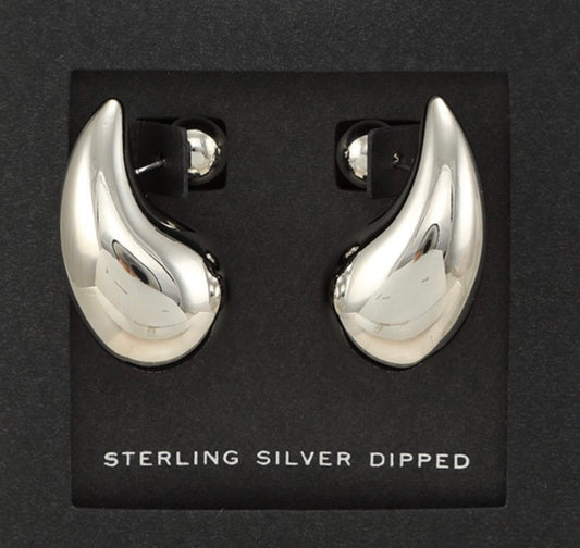 Bottega earings