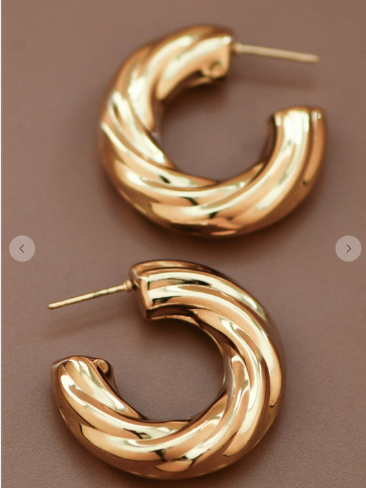 Suzi earings